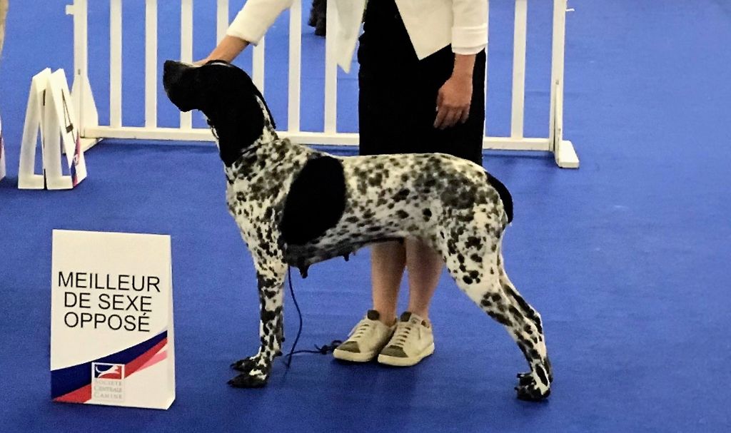 de la veyradeyre - Jenny championne de France de conformité au standard