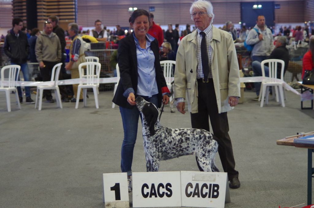 de la veyradeyre - Jolie Blue Championne de France de Conformité au Standard